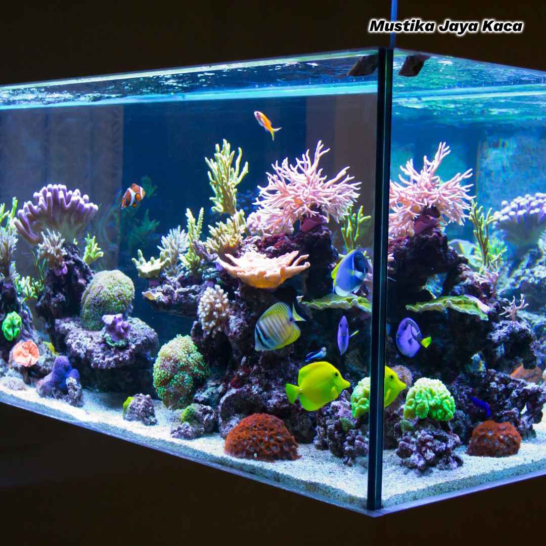 Jasa Pembuatan Aquarium Custom dengan Pencahayaan LED di Bekasi